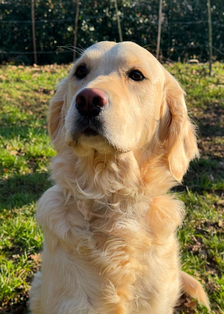 Tsoolhy Du rivage des mille etangs